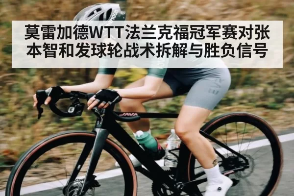 莫雷加德WTT法兰克福冠军赛对张本智和发球轮战术拆解与胜负信号